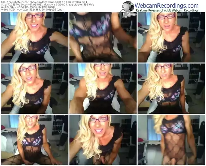 chaturbate-nylonbreanna-webcam-show-03_20_2017-17_38_26