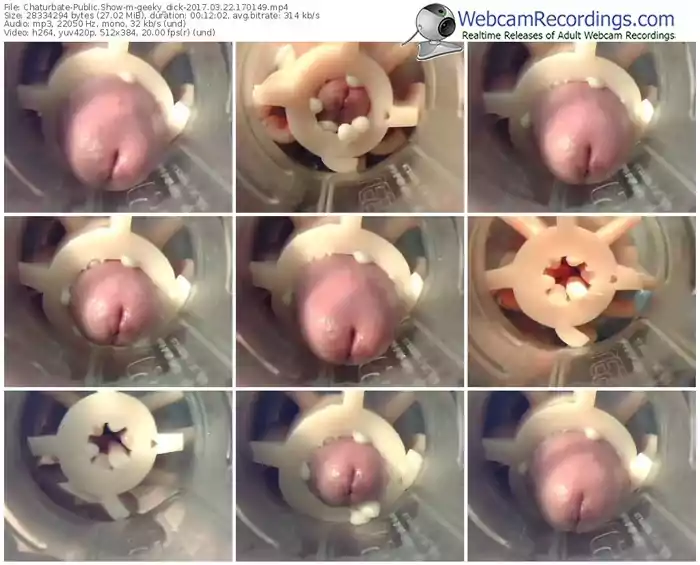 chaturbate-geeky_dick-webcam-show-03_22_2017-17_01_49