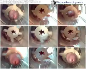 chaturbate-geeky_dick-webcam-show-03_22_2017-18_01_50