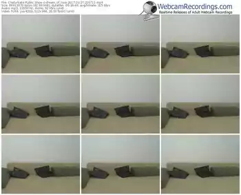 chaturbate-dream_of_love-webcam-show-03_27_2017-22_07_11