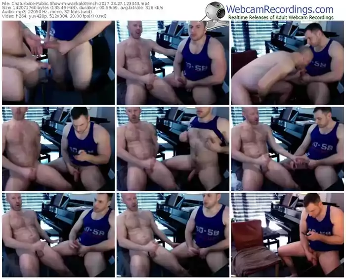 chaturbate-wankalot9inch-webcam-show-03_27_2017-12_33_43