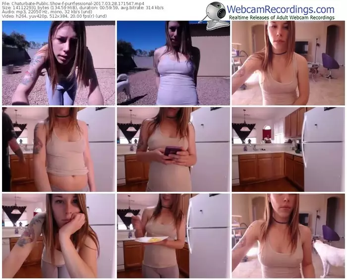 chaturbate-purrfessional-webcam-show-03_28_2017-17_15_47