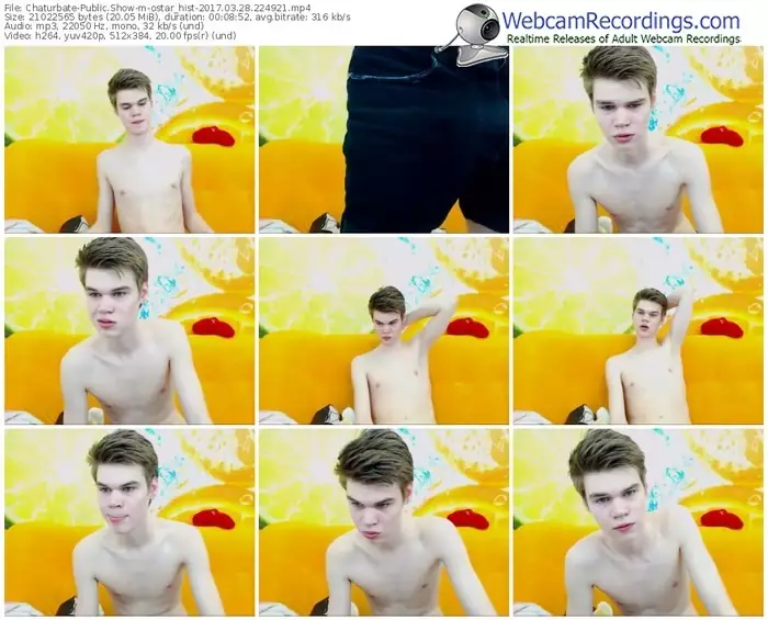 chaturbate-ostar_hist-webcam-show-03_28_2017-22_49_21