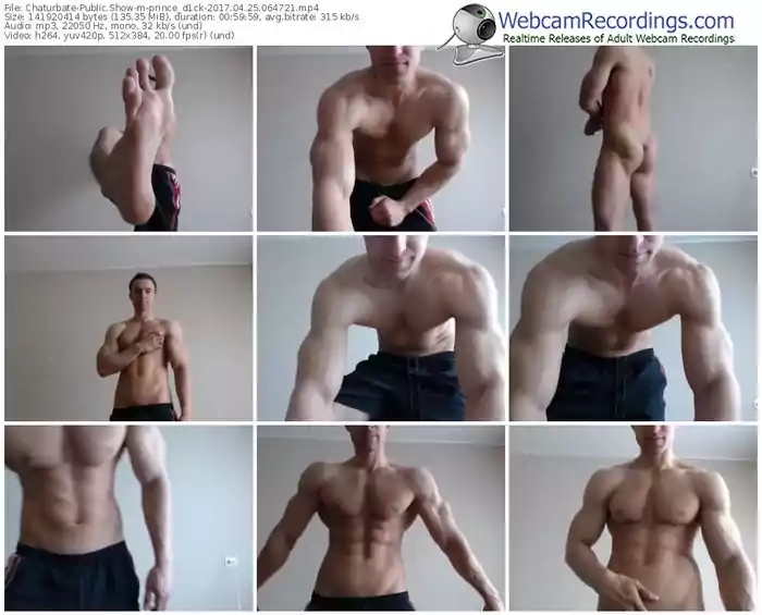 chaturbate-prince_d1ck-webcam-show-04_25_2017-06_47_21