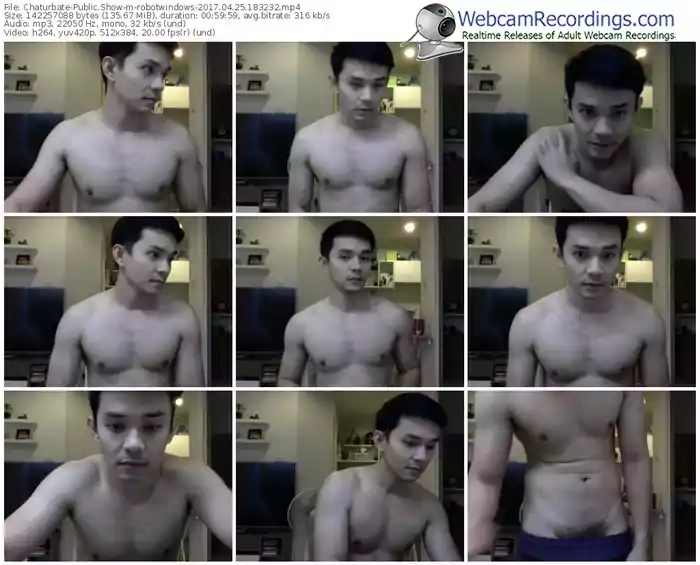 chaturbate-robotwindows-webcam-show-04_25_2017-18_32_32