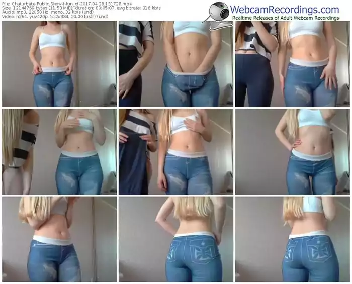 chaturbate-fun_gf-webcam-show-04_28_2017-13_17_28