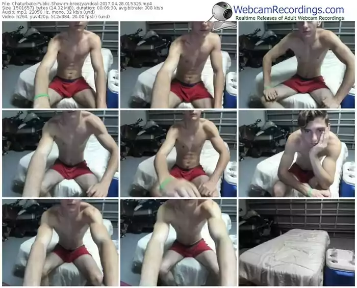 chaturbate-breezyandcal-webcam-show-04_28_2017-01_53_26