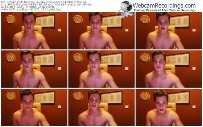 chaturbate-dave_willson-webcam-show-04_28_2017-02_53_25