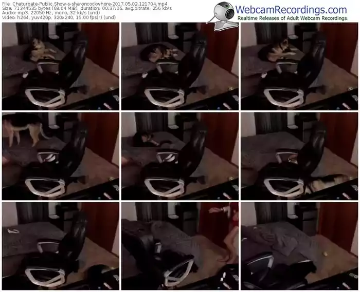 chaturbate-sharoncockwhore-webcam-show-05_02_2017-12_17_04