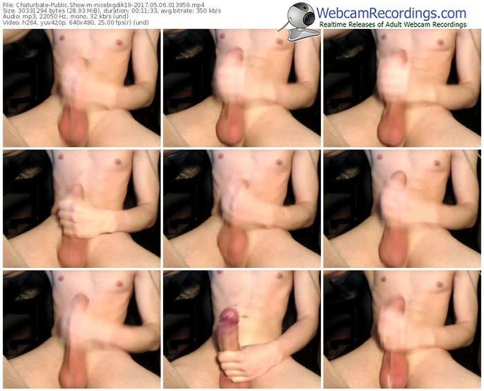 chaturbate-nicebigdik19-webcam-show-05_06_2017-01_39_59