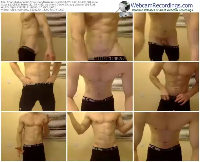 chaturbate-tytheinfamousrabbit-webcam-show-05_06_2017-03_10_01