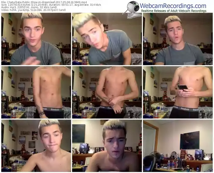 chaturbate-dreamleaf-webcam-show-05_08_2017-01_38_49