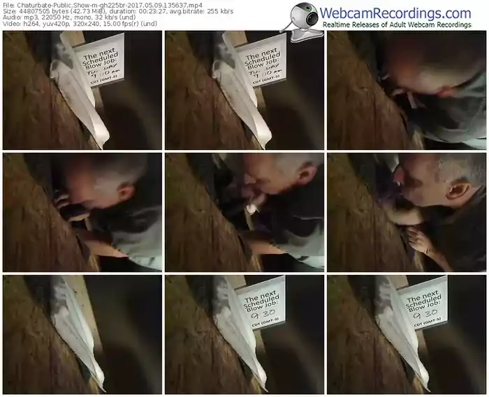 chaturbate-gh225br-webcam-show-05_09_2017-13_56_37