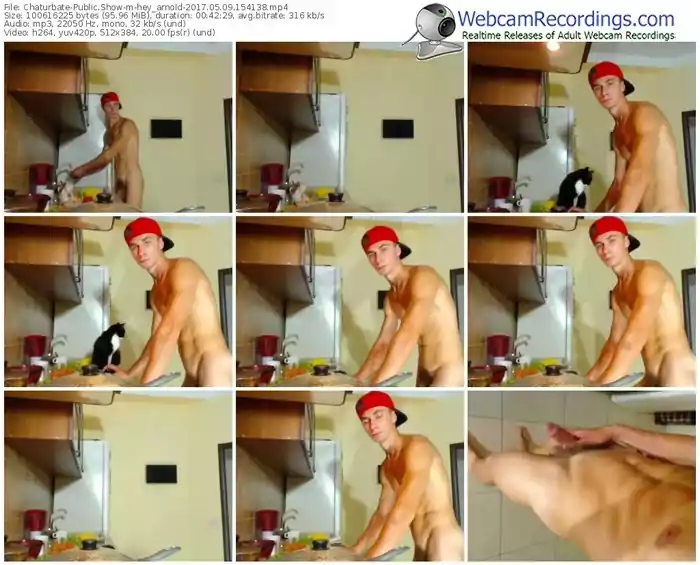 chaturbate-hey_arnold-webcam-show-05_09_2017-15_41_38
