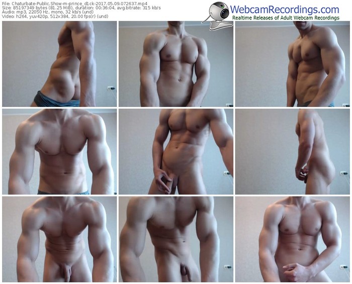 chaturbate-prince_d1ck-webcam-show-05_09_2017-07_26_37
