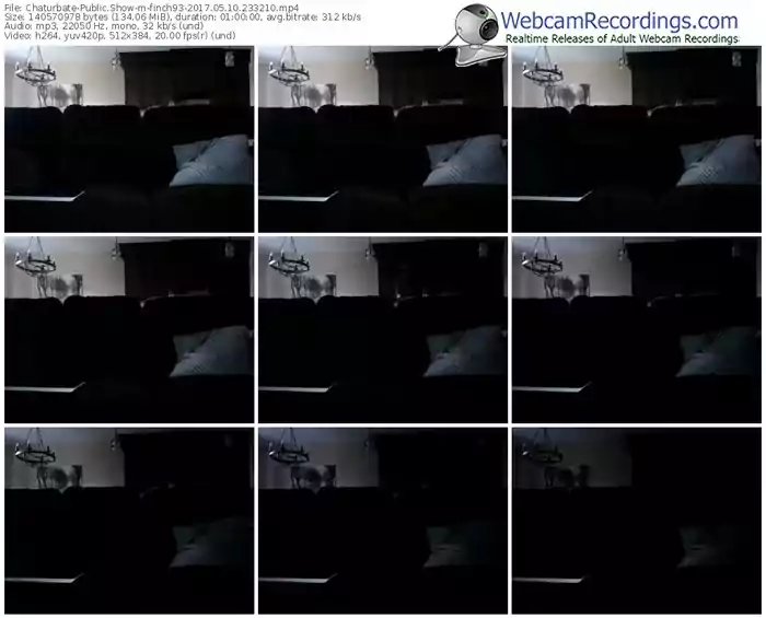 chaturbate-finch93-webcam-show-05_10_2017-23_32_10