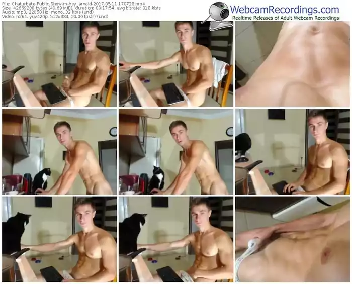 chaturbate-hey_arnold-webcam-show-05_11_2017-17_07_28