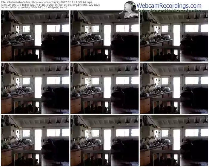 chaturbate-hotsmokepig-webcam-show-05_11_2017-13_02_24