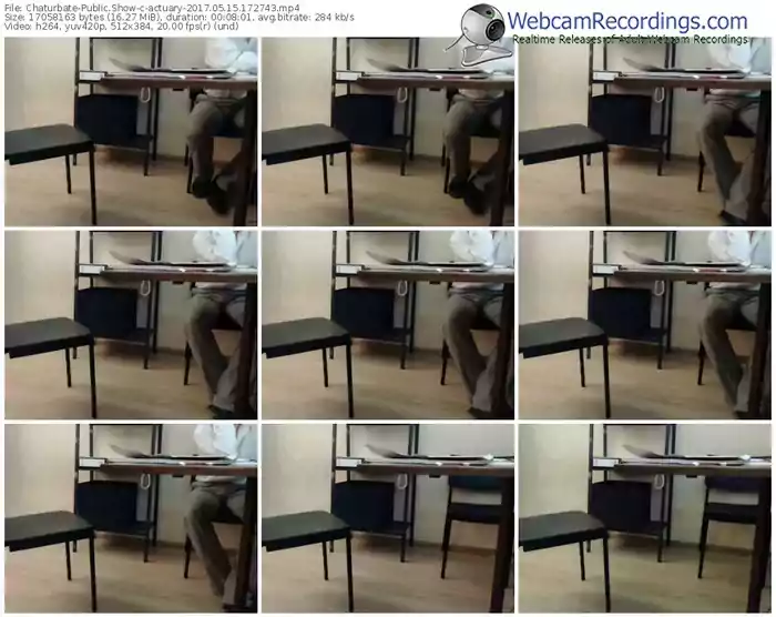 chaturbate-actuary-webcam-show-05_15_2017-17_27_43