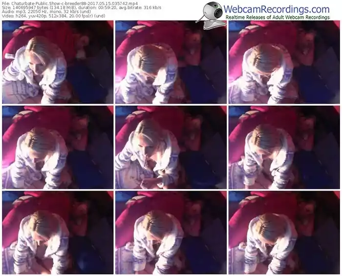 chaturbate-breeder88-webcam-show-05_15_2017-03_57_42