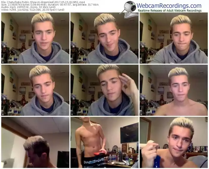 chaturbate-dreamleaf-webcam-show-05_15_2017-01_28_51