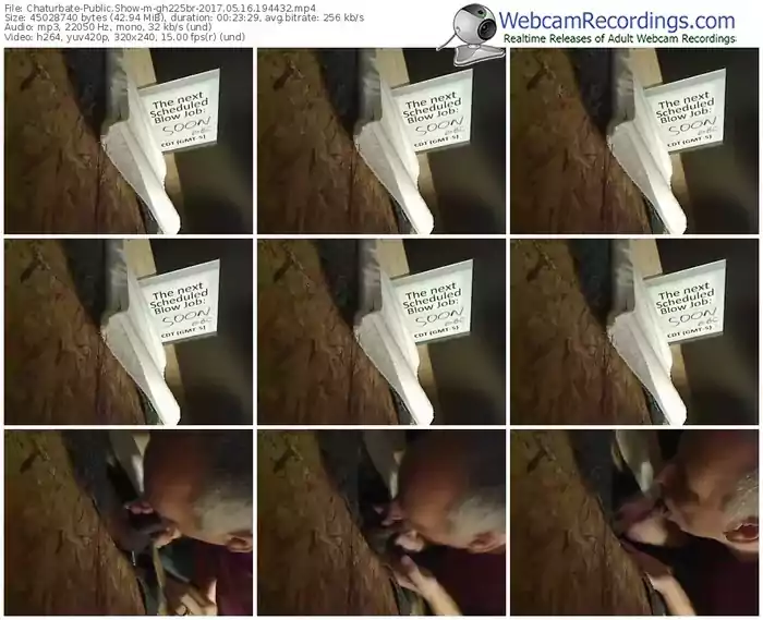 chaturbate-gh225br-webcam-show-05_16_2017-19_44_32