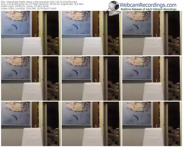chaturbate-the_bossman-webcam-show-05_20_2017-02_14_56