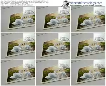 chaturbate-stella_and_stephan-webcam-show-05_23_2017-04_41_18