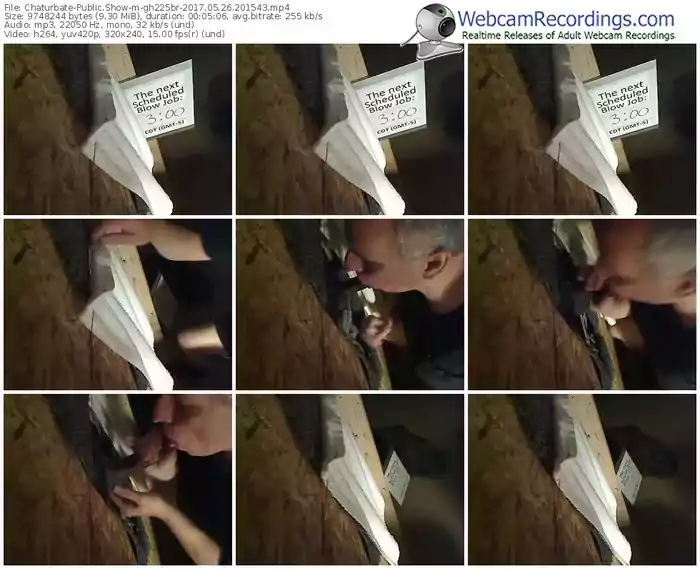 chaturbate-gh225br-webcam-show-05_26_2017-20_15_43