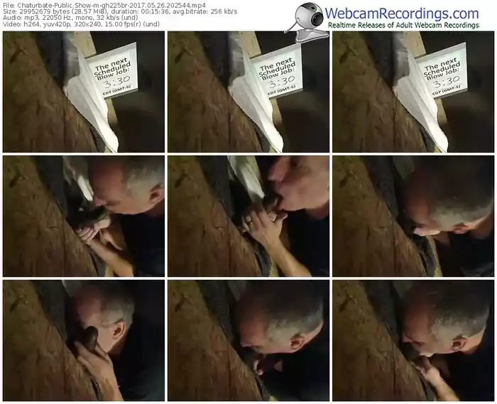 chaturbate-gh225br-webcam-show-05_26_2017-20_25_44
