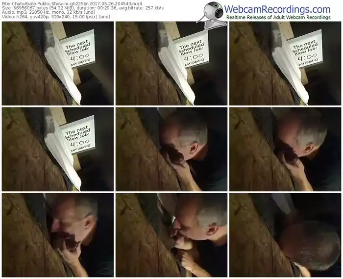 chaturbate-gh225br-webcam-show-05_26_2017-20_45_43