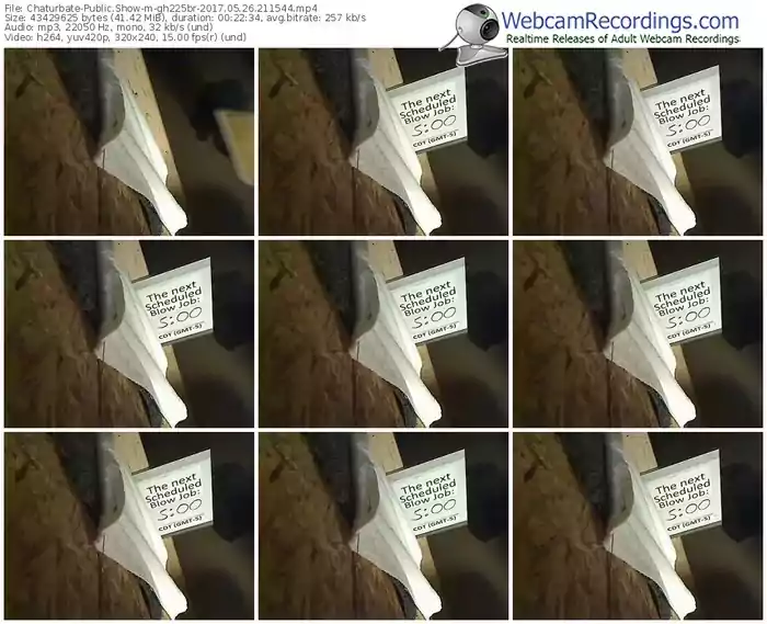 chaturbate-gh225br-webcam-show-05_26_2017-21_15_44