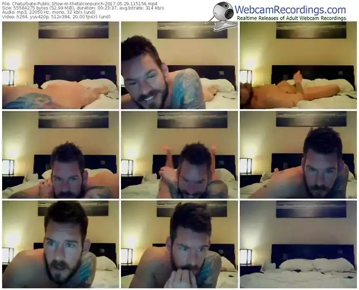 chaturbate-thefalconpunch-webcam-show-05_29_2017-11_51_56