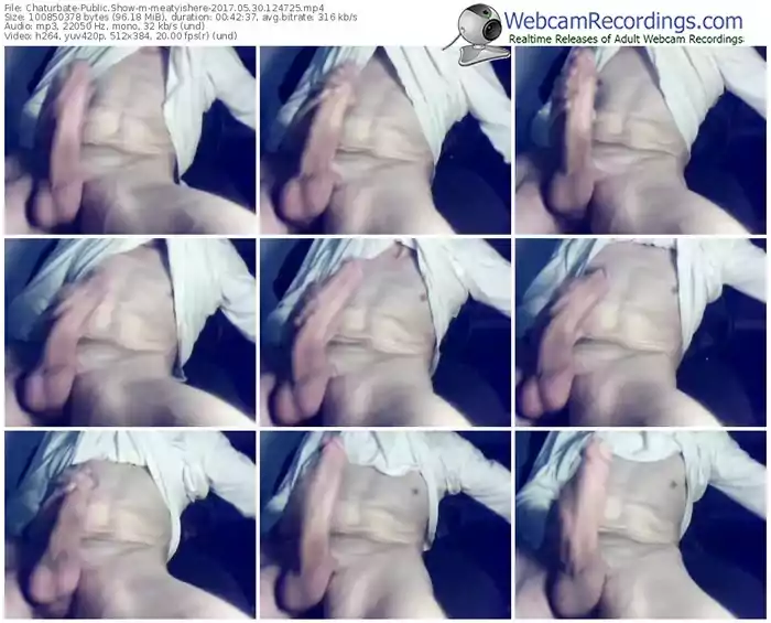 chaturbate-meatyishere-webcam-show-05_30_2017-12_47_25