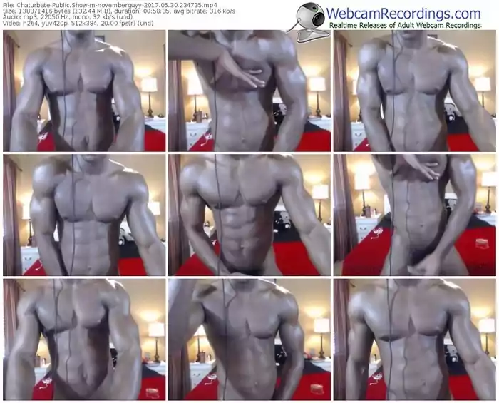 chaturbate-novemberguyy-webcam-show-05_30_2017-23_47_35