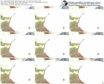 chaturbate-lexxxiwet-webcam-show-06_02_2017-14_07_37