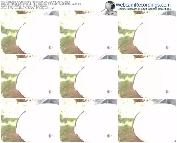 chaturbate-lexxxiwet-webcam-show-06_02_2017-14_07_37