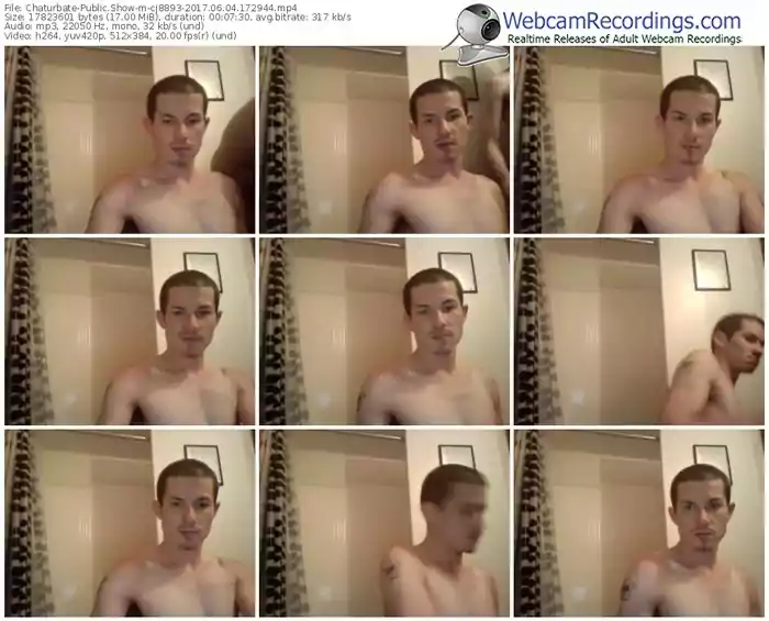 chaturbate-cj8893-webcam-show-06_04_2017-17_29_44