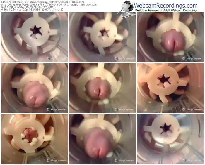 chaturbate-geeky_dick-webcam-show-06_04_2017-16_04_42