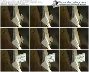 chaturbate-gh225br-webcam-show-06_07_2017-15_51_04