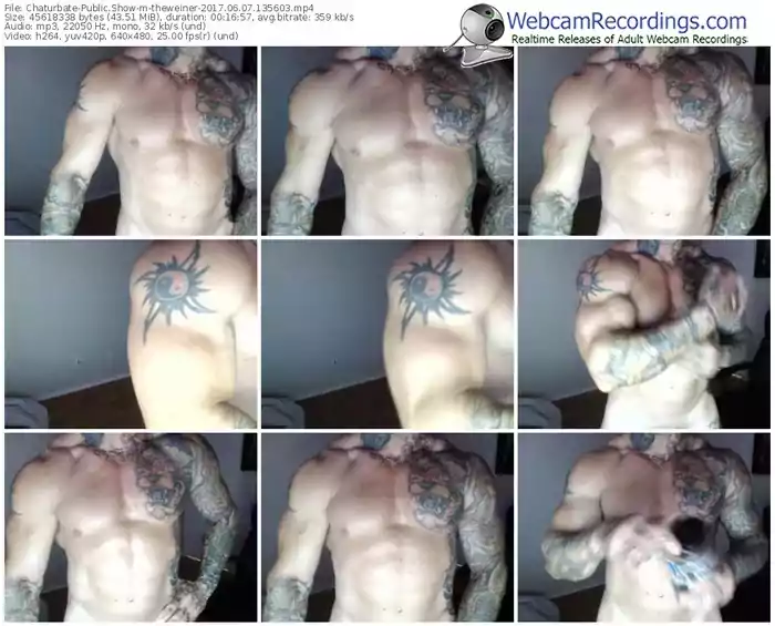 chaturbate-theweiner-webcam-show-06_07_2017-13_56_03