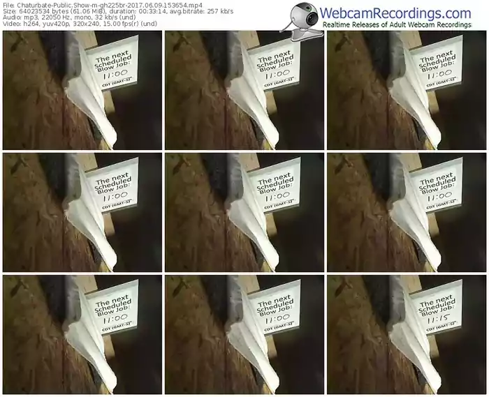 chaturbate-gh225br-webcam-show-06_09_2017-15_36_54