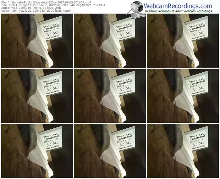 chaturbate-gh225br-webcam-show-06_09_2017-20_16_59