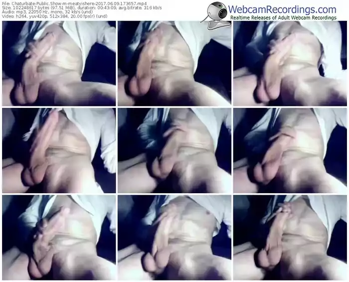 chaturbate-meatyishere-webcam-show-06_09_2017-17_36_57
