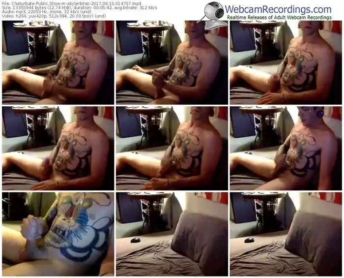 chaturbate-skylerbitez-webcam-show-06_10_2017-01_47_07