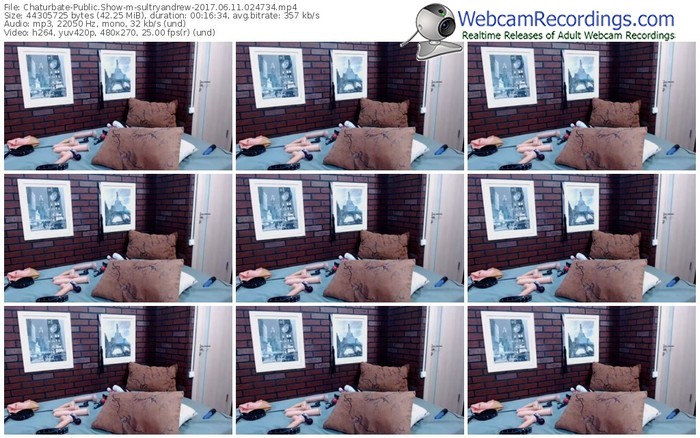 chaturbate-sultryandrew-webcam-show-06_11_2017-02_47_34