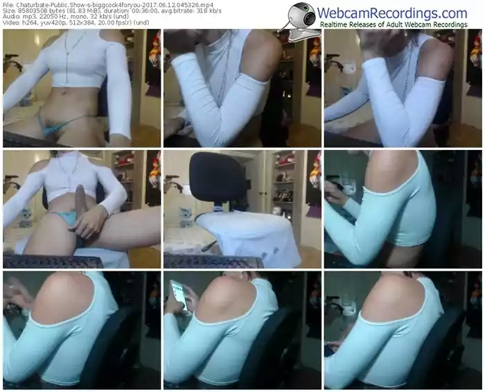 chaturbate-biggcock4foryou-webcam-show-06_12_2017-04_53_26