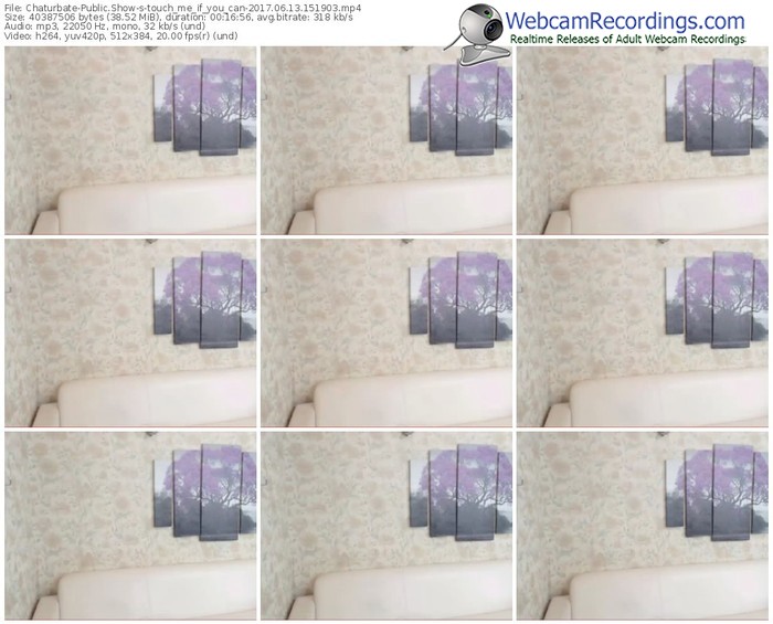 chaturbate-touch_me_if_you_can-webcam-show-06_13_2017-15_19_03