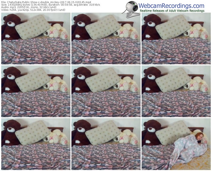 chaturbate-double_mickey-webcam-show-06_15_2017-02_01_45