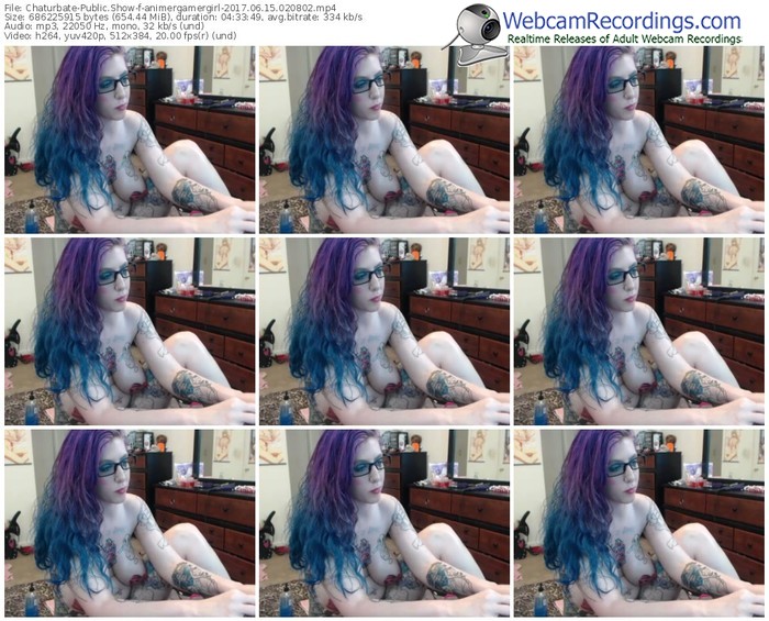chaturbate-animergamergirl-webcam-show-06_15_2017-02_08_02
